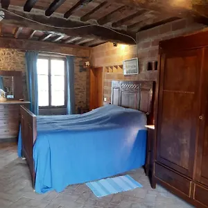 Del Capo , Capannori Italia